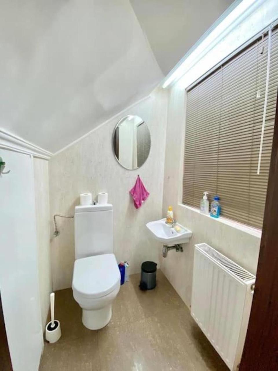Grazia Apartment Timişoara Buitenkant foto