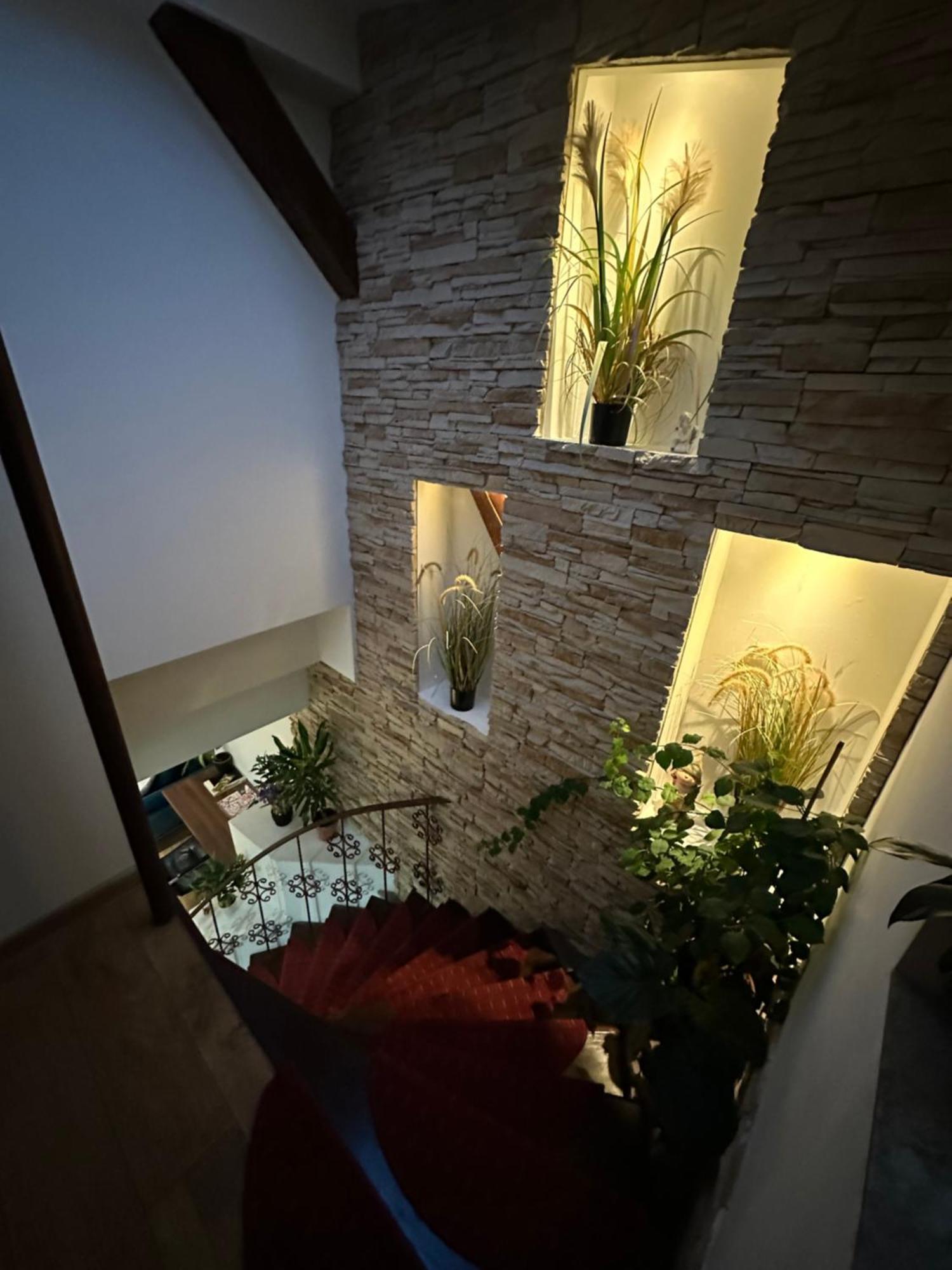 Grazia Apartment Timişoara Buitenkant foto
